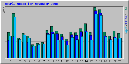 Hourly usage for November 2008