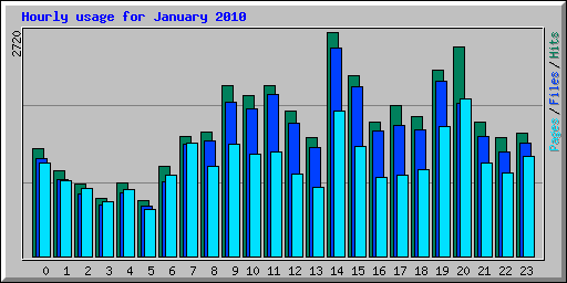 Hourly usage for January 2010
